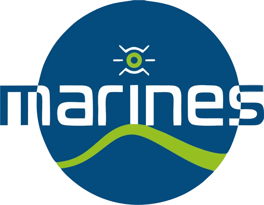Logo789